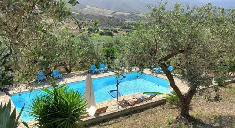 House with barbeque, garden & patio | Good for workation | Pet-friendly — photo 3
