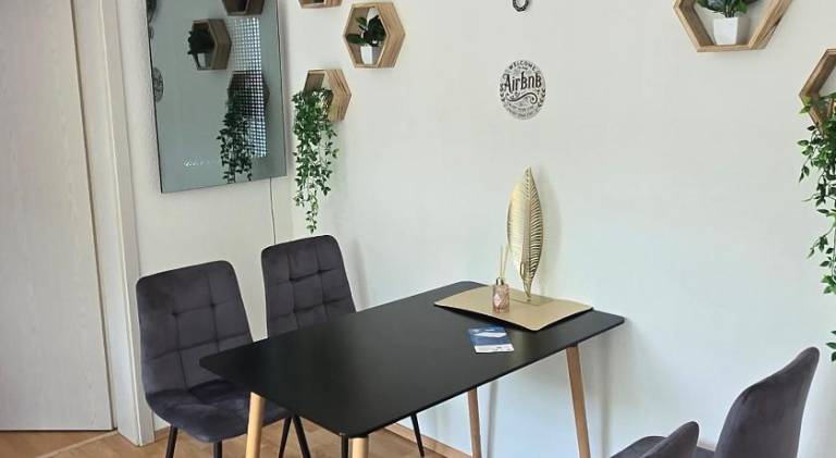 Ferienwohnung Halle (Saale)