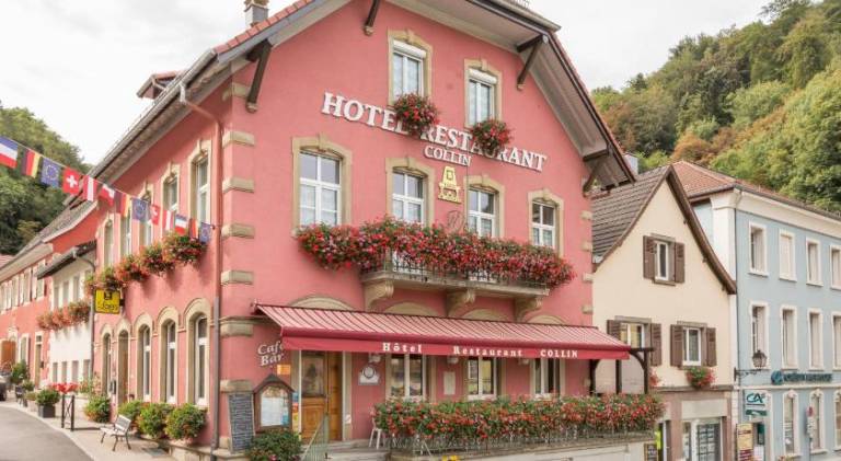 HOTEL RESTAURANT COLLIN in Mulhouse