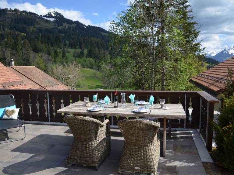 Apartment Gstaad