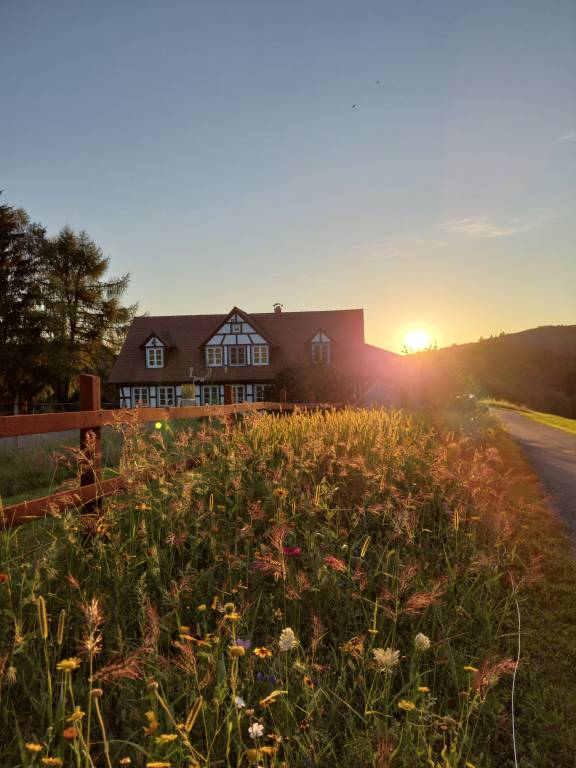 Ferienhaus  Weinheim
