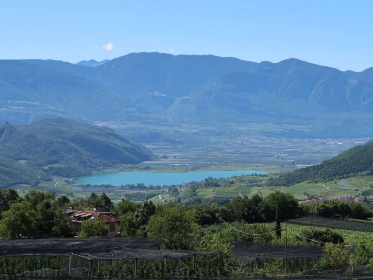 foto41