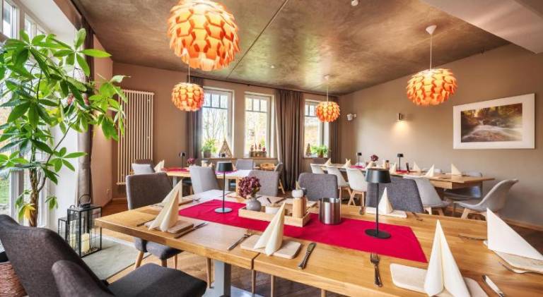 Harz-Urlaubs-Alm Hotel & Ferienhauser — photo 4