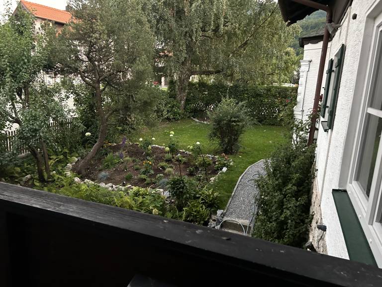 foto15