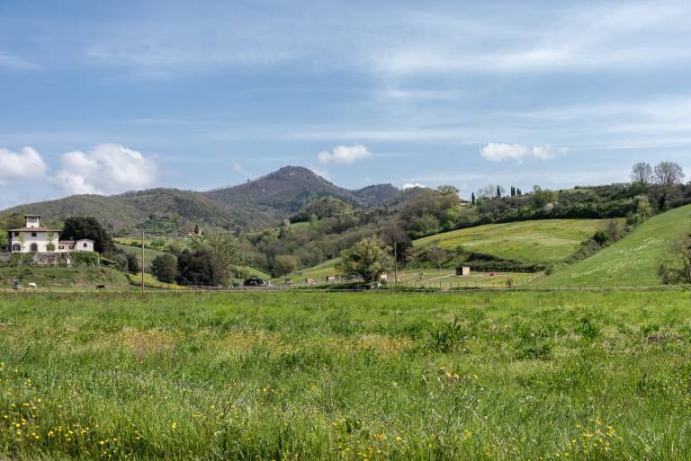 Farmhouse 'Agriturismo Il Ponte - Frantoio' with Mountain View, Private Garden and Wi-Fi — photo 2