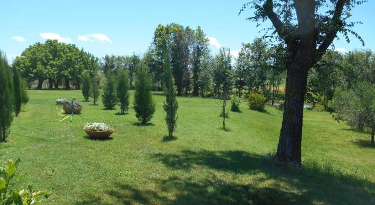 Vacation home with 4 rooms for 7 persons — photo 5