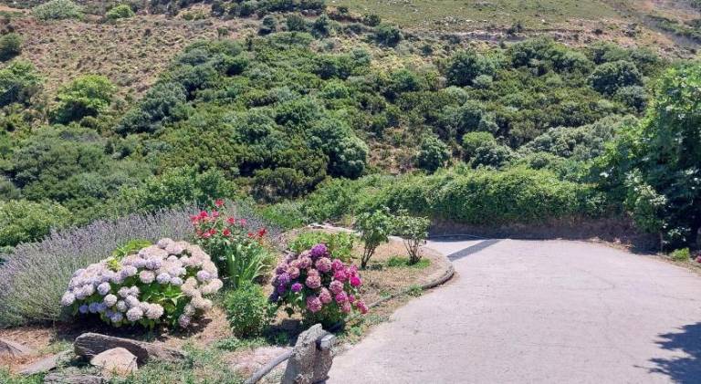 House with terrace & yard | Pet-friendly in Andros