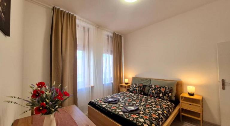 Apartment | Next to Špilberk Castle | Pets allowed in Brno