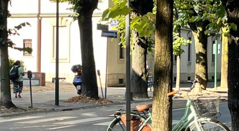 foto21