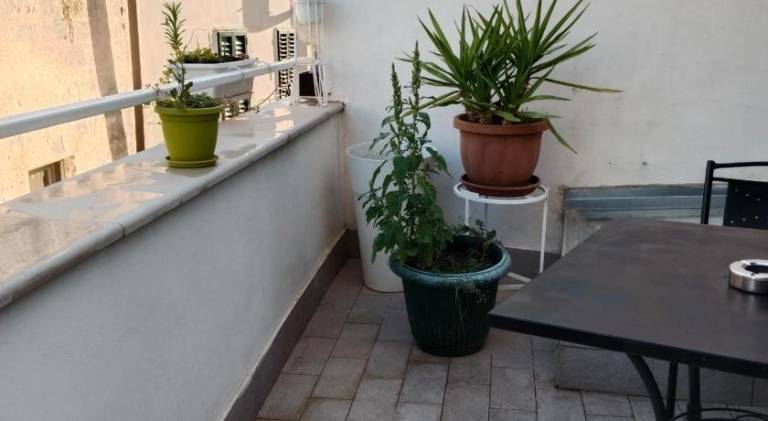 Vacation home with terrace — photo 4