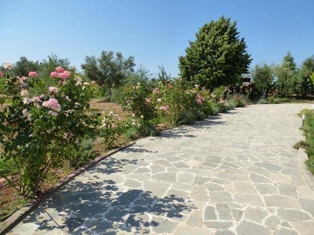 foto17