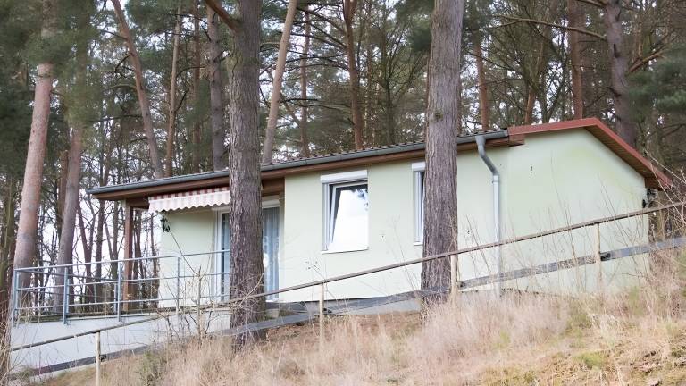 Ferienhaus Feldberg