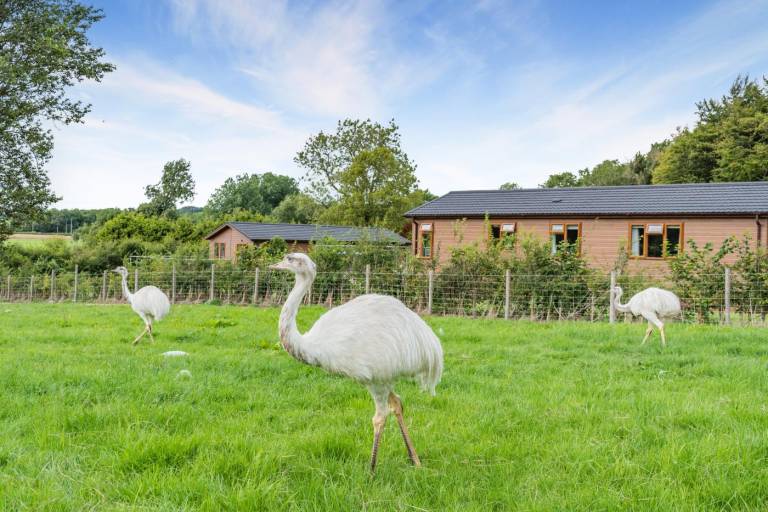 foto3