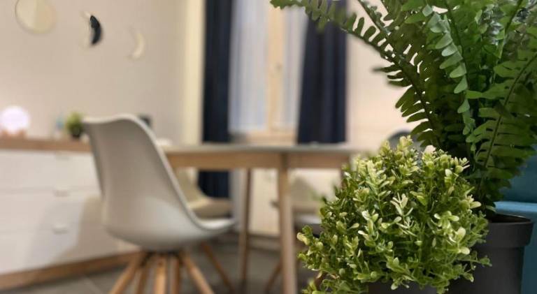 Rental apartment | Next to Piazza De Ferrari — photo 4