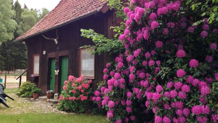 Ferienhaus Wietzendorf
