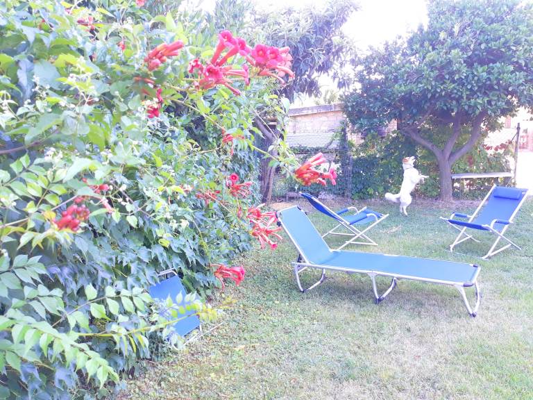 foto9
