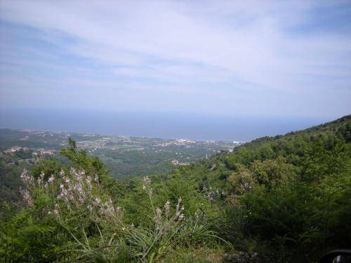 foto19