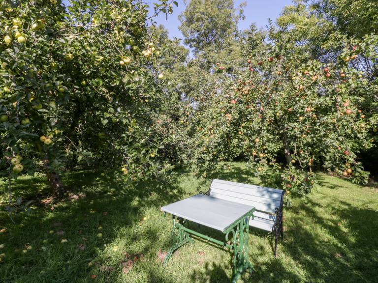 foto17