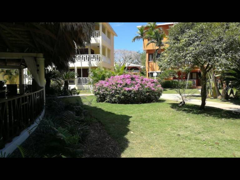 foto7