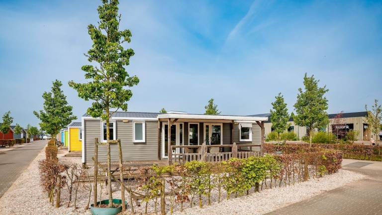Tolles Ferienhaus mit Pool und Garten | Neben dem Strand | Haustiere erlaubt