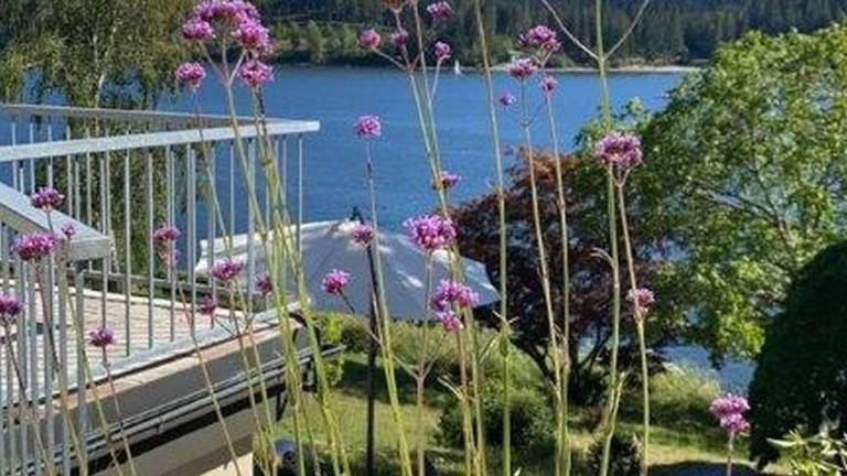 Ferienwohnung Schluchsee