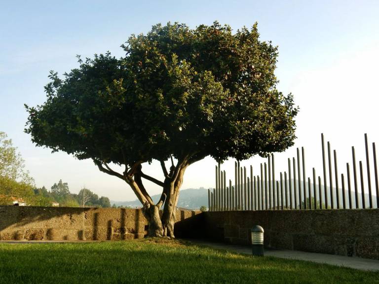 Quinta Vizela