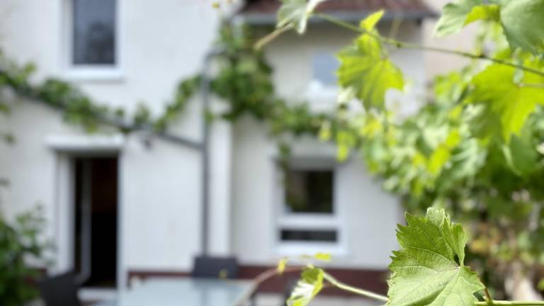 Ferienhaus  Hainfeld