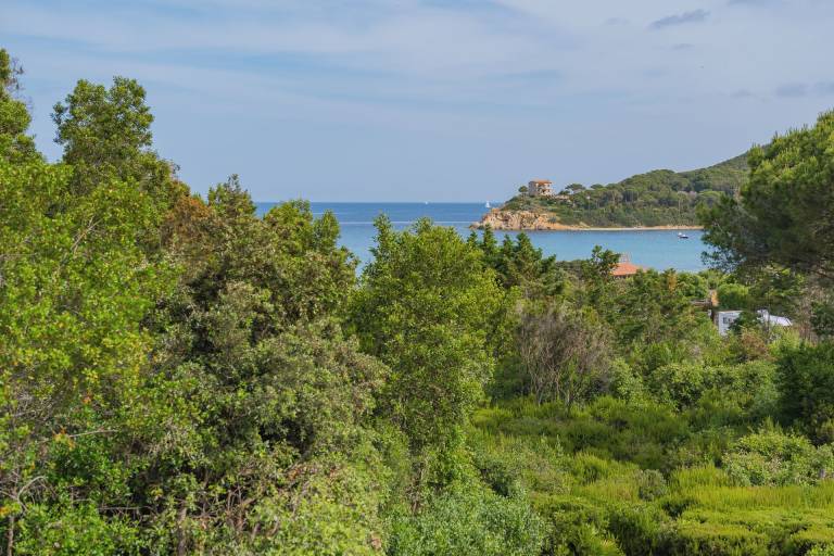 Appartement Marciana