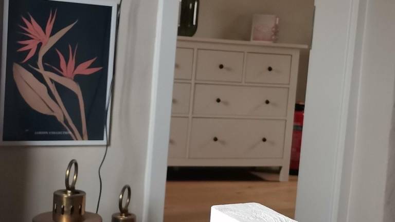 foto11