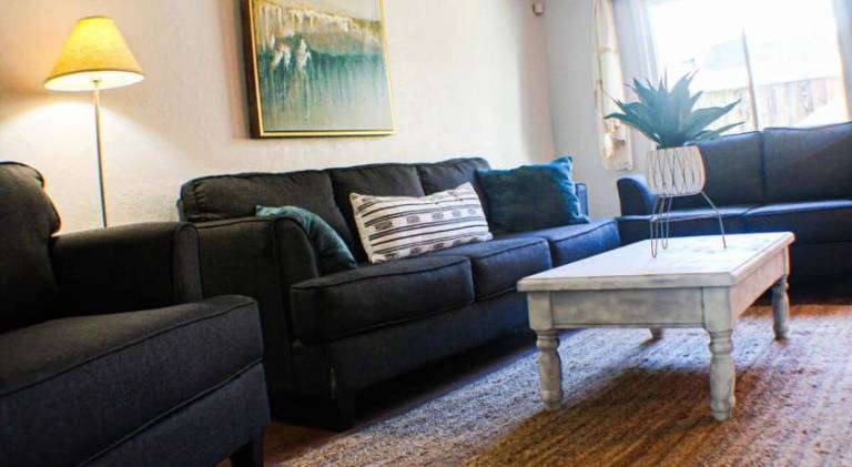 Newly Renovated 2-Bed near Downtown-North Shore — photo 3