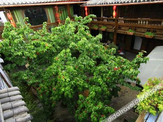 Privatrum Gucheng, Lijiang