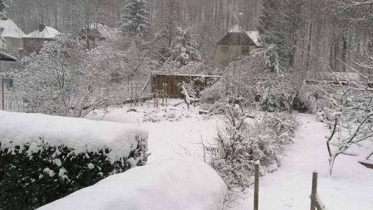 Ferienwohnung Wernigerode