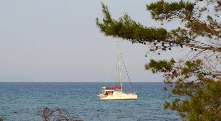 Pleasant vacation home with garden & terrace | Next to the beach | Dogs allowed in Posada