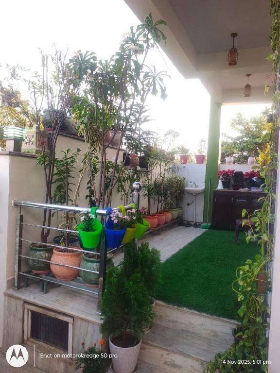 House with garden — photo 5