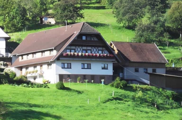 Apartment  Bad Peterstal-Griesbach