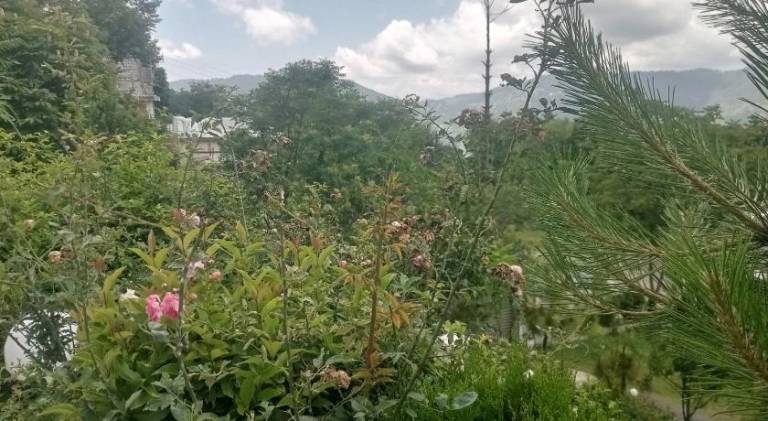 foto6