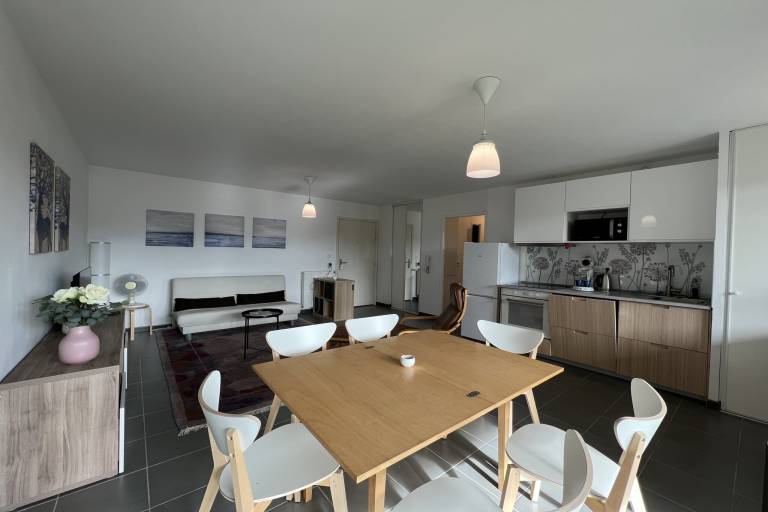 Appartement Aussonne