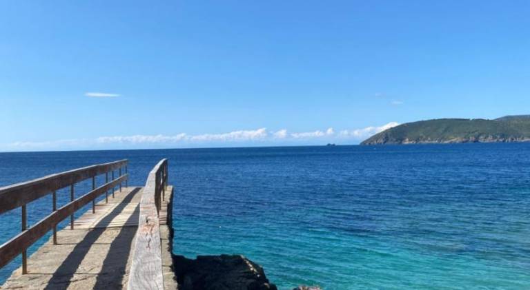 Vacation home with 1 room for 4 persons in Capoliveri