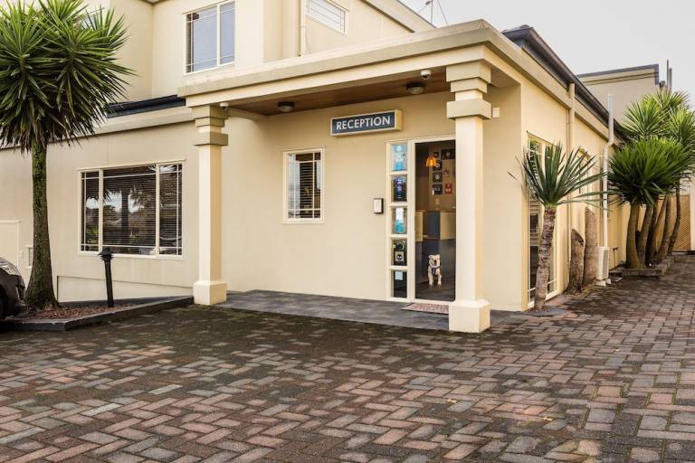 Motel  Napier City