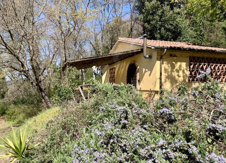Casale Montescudaio