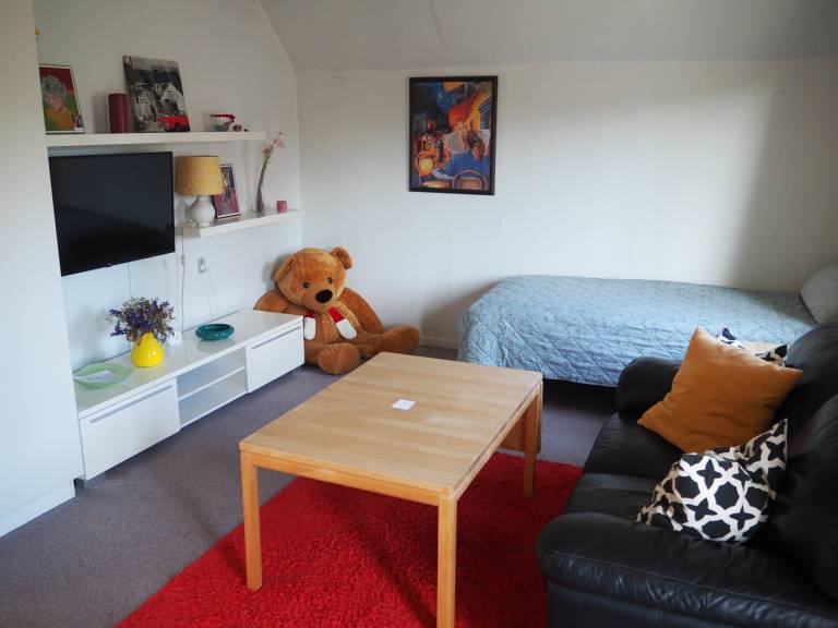 Lovely Town Apartment - Sleeps 5, Parking & Garden — photo 5