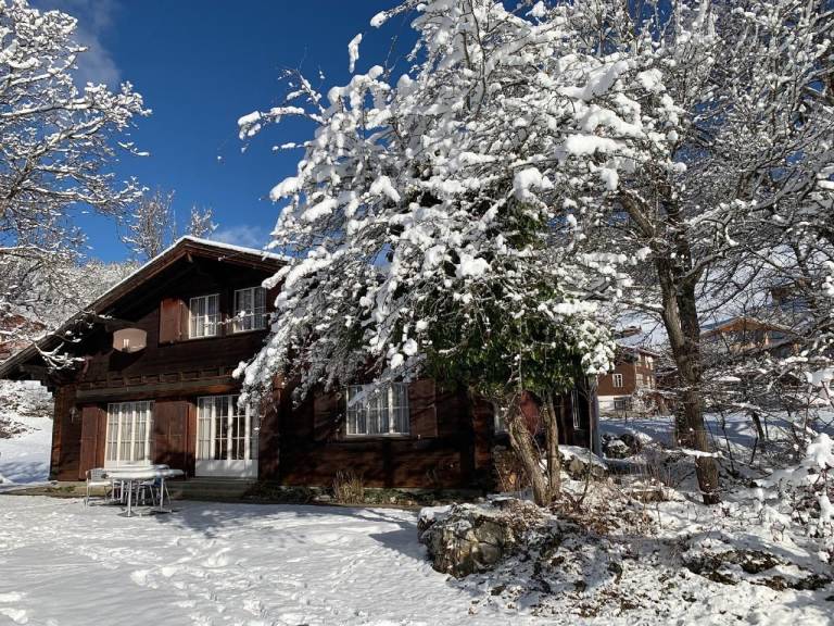 Ferienhaus  Hasliberg