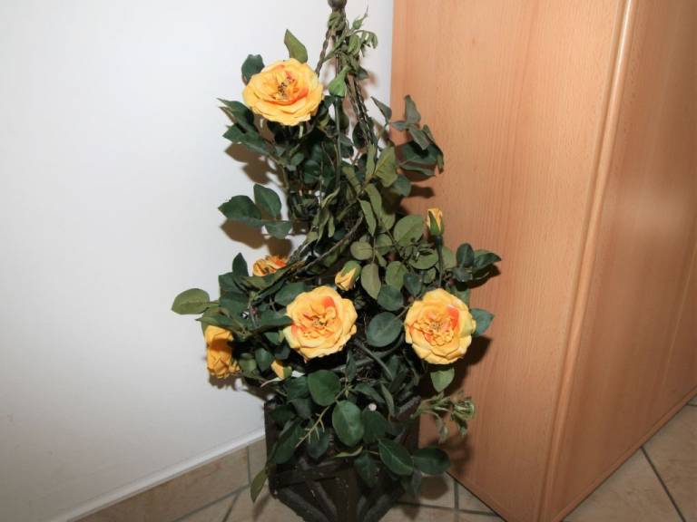 foto10