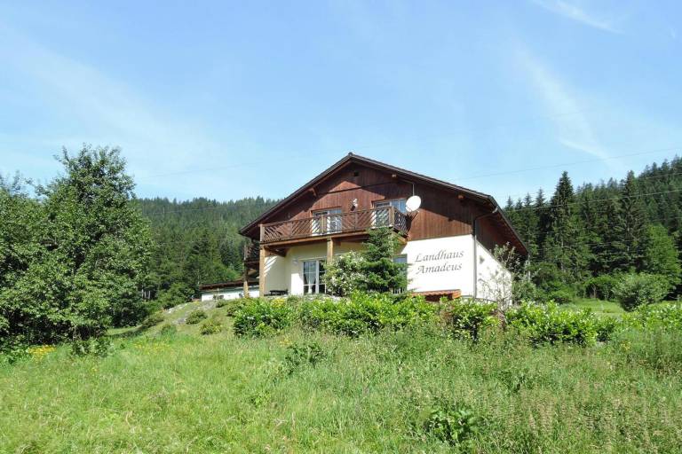 House Hallstatt