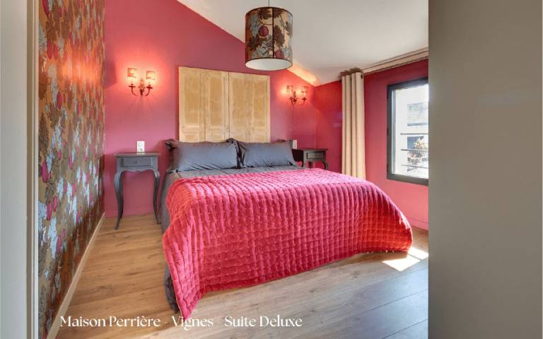 Maison de vacances Candes-Saint-Martin