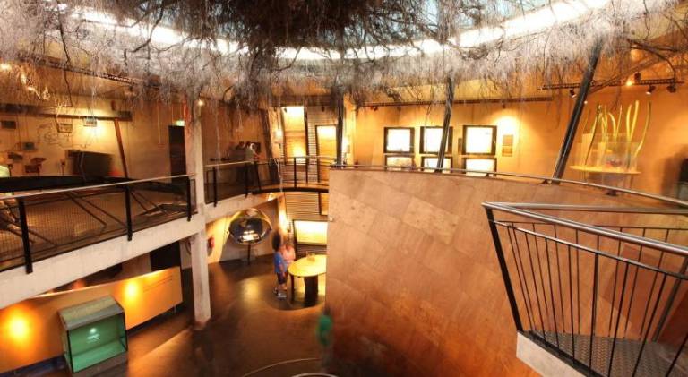 Kruller - Hotel B&B — photo 3