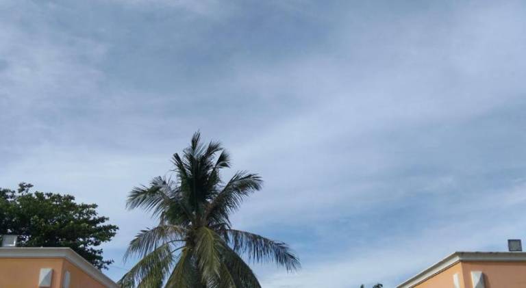 Crisols Beach resort Malapascua Island — photo 3