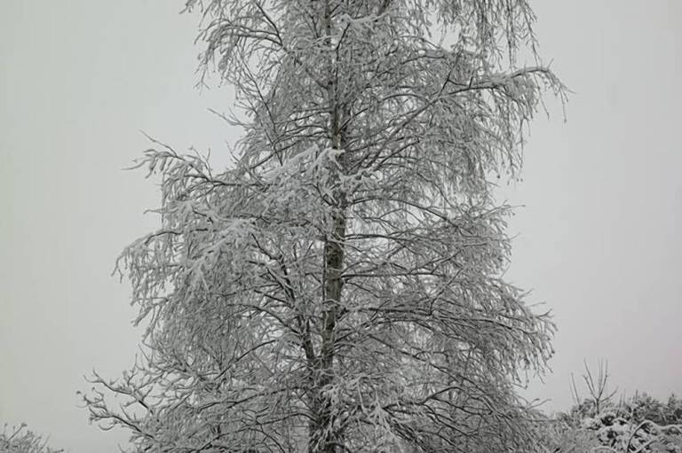 foto12