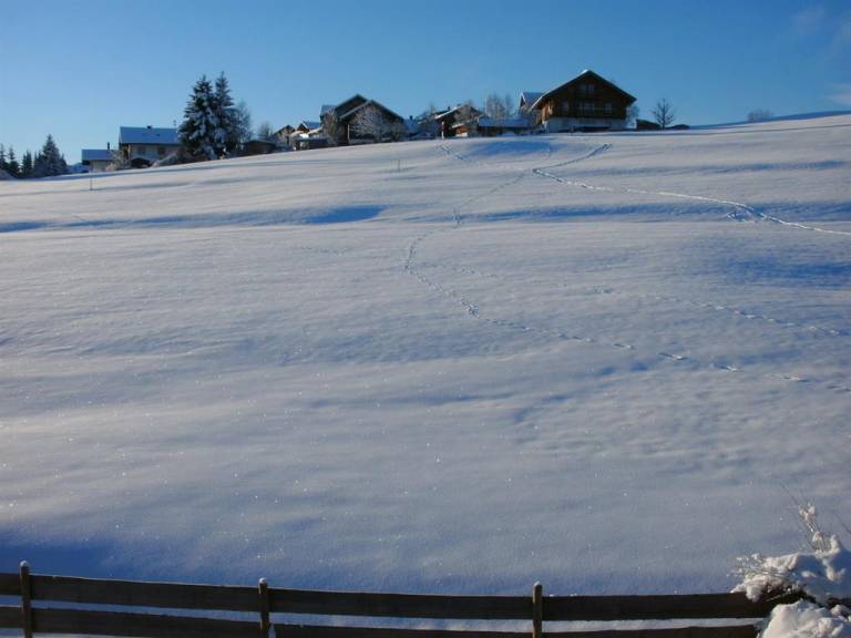 foto8