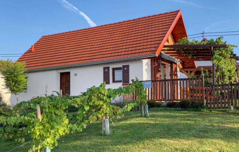 Ferienhaus  Stegersbach